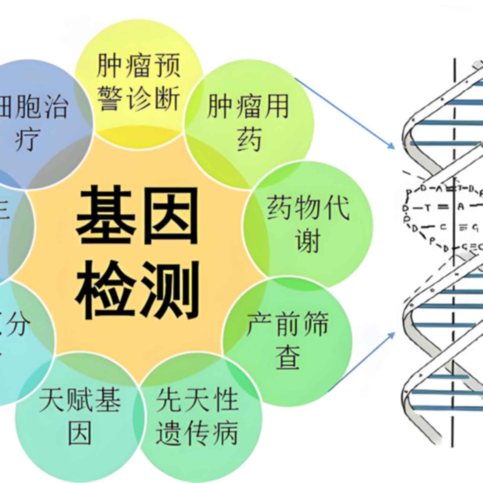 北京平谷区胎儿亲子鉴定需要几个样本